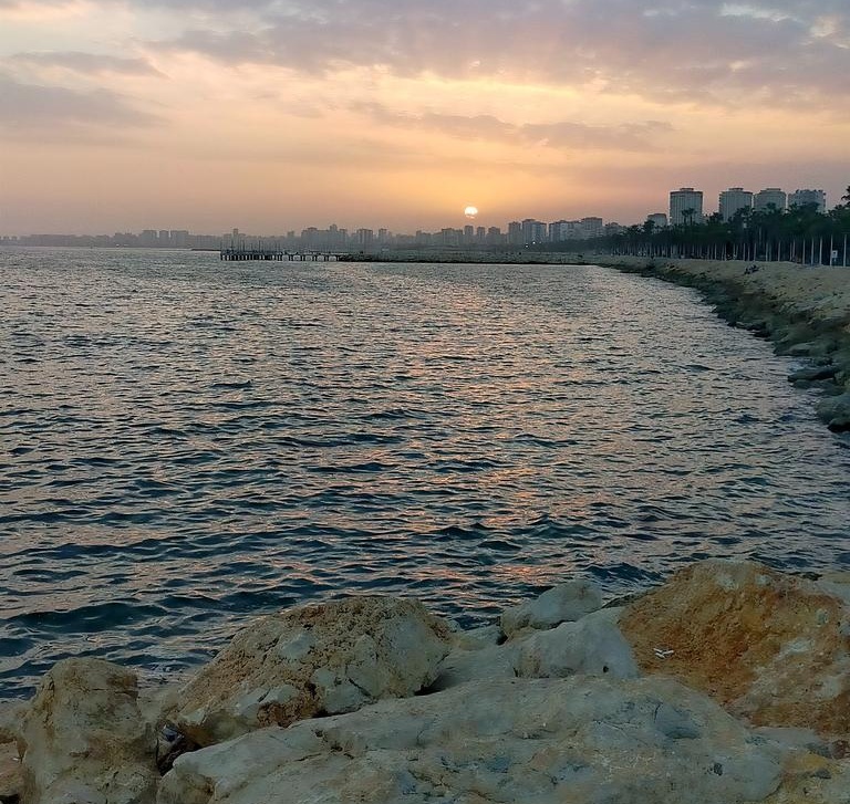 Mersin: Tarım, Sanayi ve Turizmin Çeşitliliği